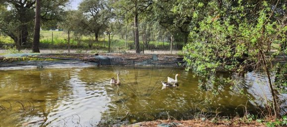 9 bedrooms House in Setubal, Portugal No. 160991 23