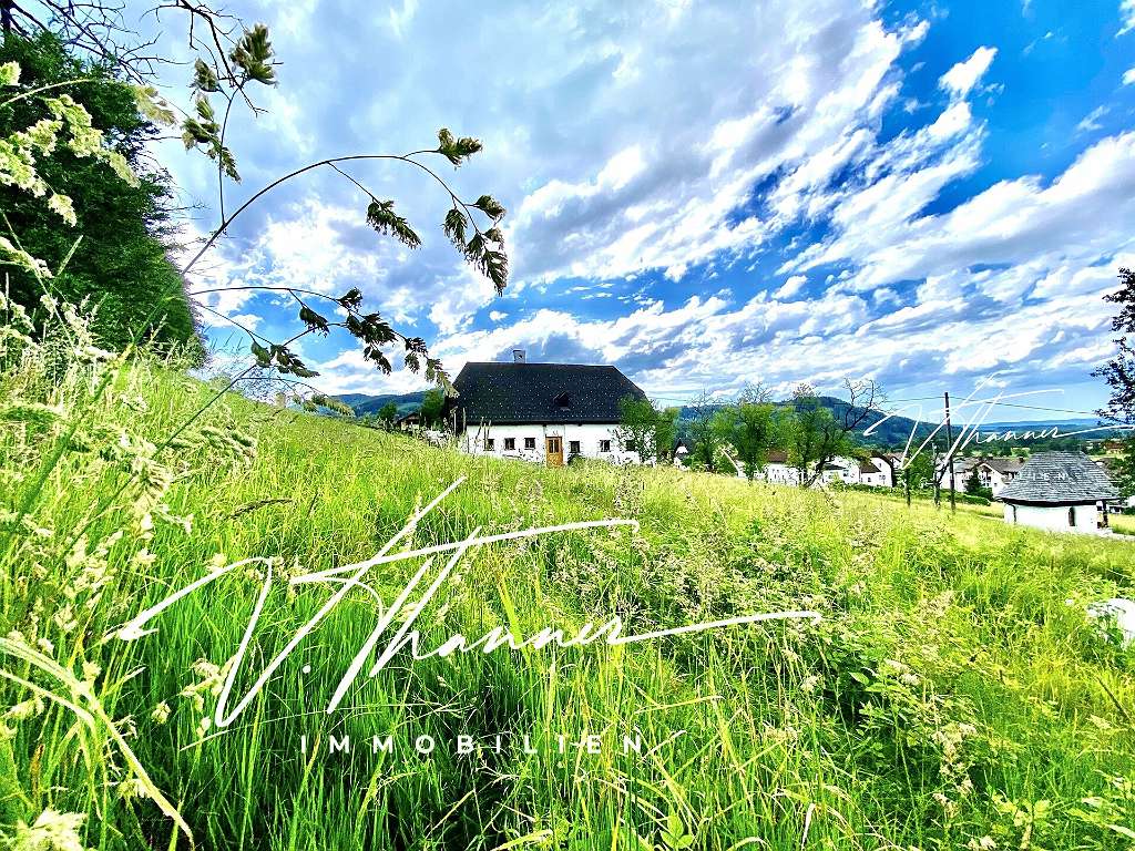 Terreno en Pinsdorf, Austria No. 25771