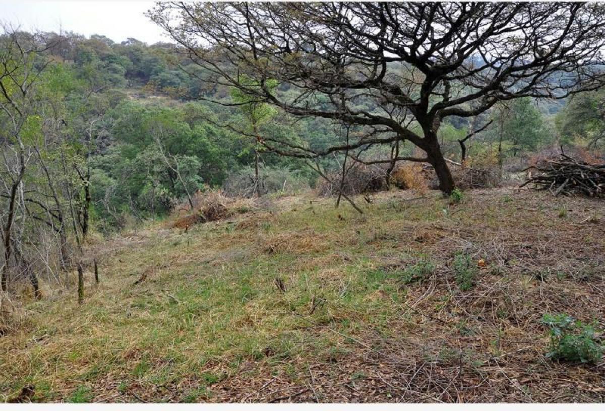  Land in Ciudad Lopez Mateos, Mexico No. 205757