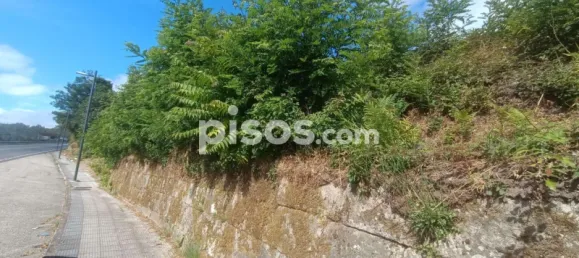 1080m² Land in Pontevedra, Spain No. 139561 6