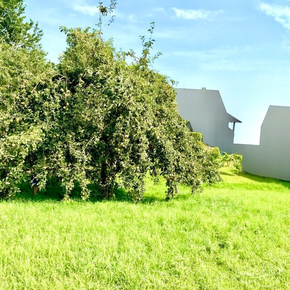 Terreno em Bamberg, Germany 638 m² N.º 304328