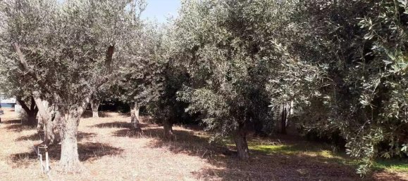 Hôtel à Vari, Greece 547m² No. 54036 5