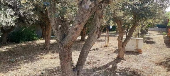 Hôtel à Vari, Greece 547m² No. 54036 8