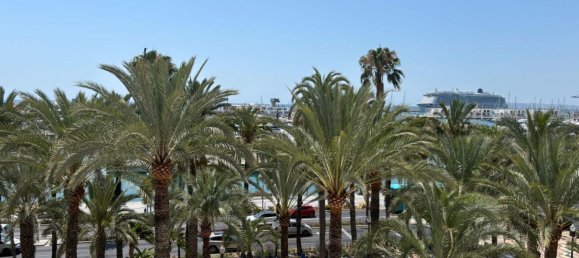 4 bedrooms Apartment in Alicante, Spain No. 147801 41