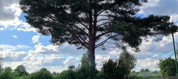 Grundstück in Kreuzberg, Germany, Nr. 311166 15