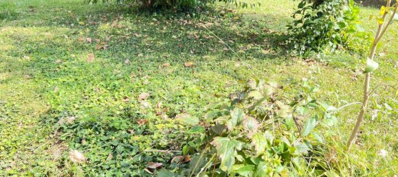 1 غرف نوم شقة في Dalmine, Italy رقم 344031 2