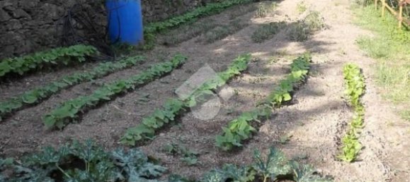 6 rooms House in Ne, Italy No. 130201 7