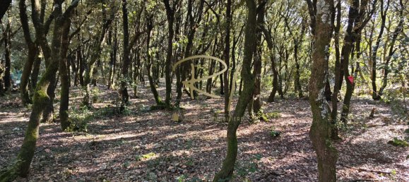 2 chambres Villa à Orgnac-l'Aven, France No. 206402 13