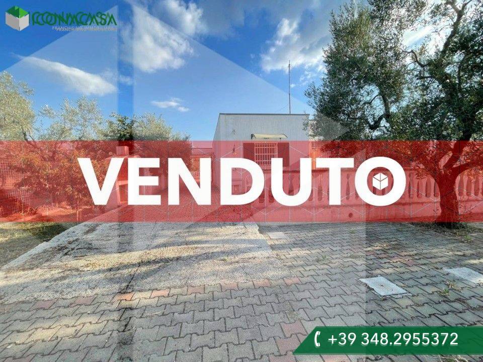 3 rooms Villa in Corato, Italy No. 33384