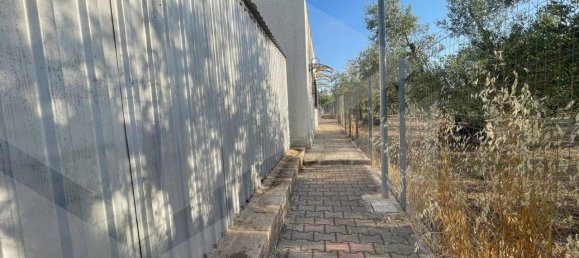 3 rooms Villa in Corato, Italy No. 33384 53