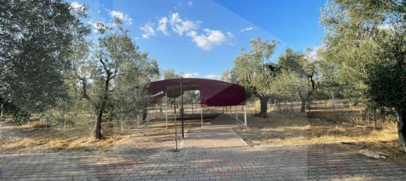 3 rooms Villa in Corato, Italy No. 33384 8