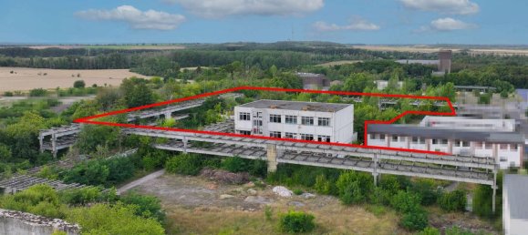 9954m² Land in Salzlandkreis, Germany No. 227433 6