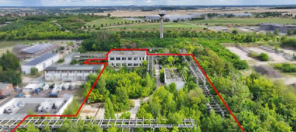 9954m² Land in Salzlandkreis, Germany No. 227433 2