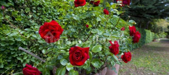 10 Schlafzimmer Villa in Monteriggioni, Italy, Nr. 213874 15