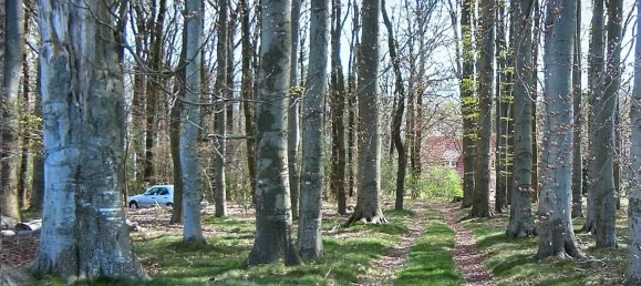 Terreno em Oldenburg, Germany N.º 328721 4