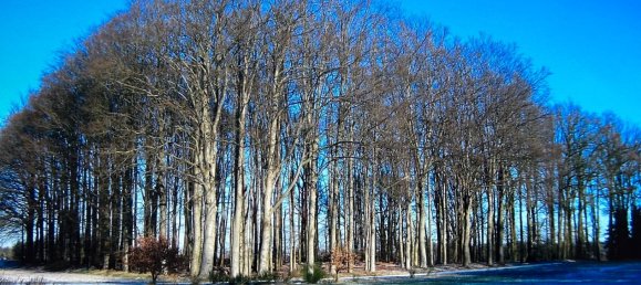 Terreno em Oldenburg, Germany N.º 328721 2