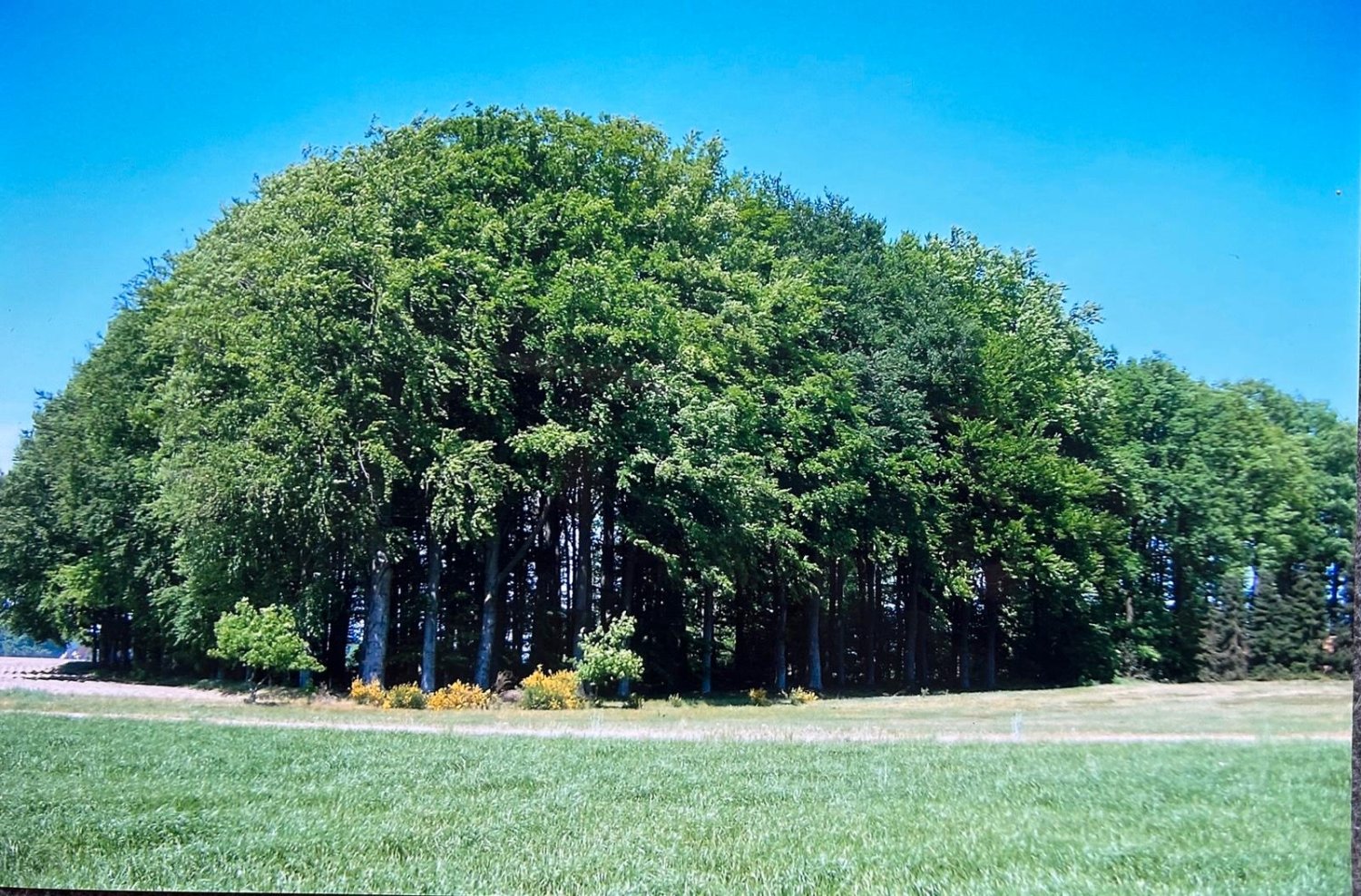 Terreno em Oldenburg, Germany N.º 328721