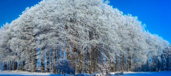 Terreno em Oldenburg, Germany N.º 328721 3
