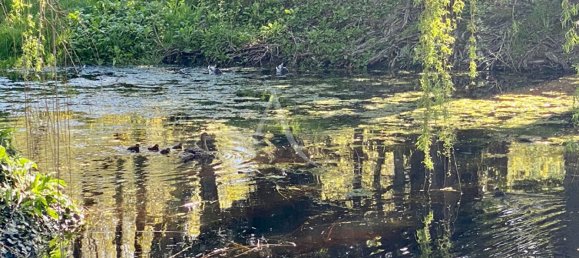 Casa de 5 dormitorios en Sassay, France No. 79049 13