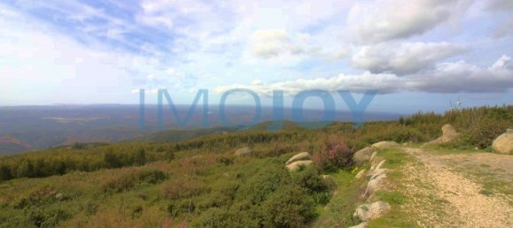 100000m² Land in Monchique, Portugal No. 83213 11