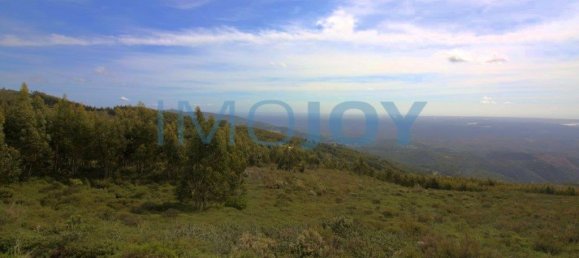 100000m² Land in Monchique, Portugal No. 83213 5