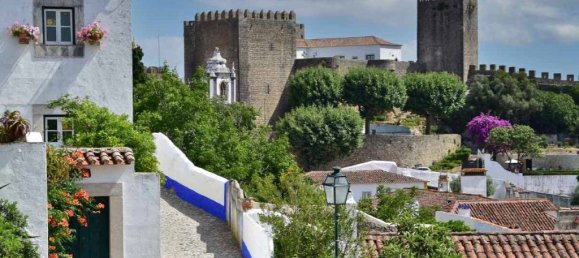 4 bedrooms House in Obidos, Portugal No. 104607 12