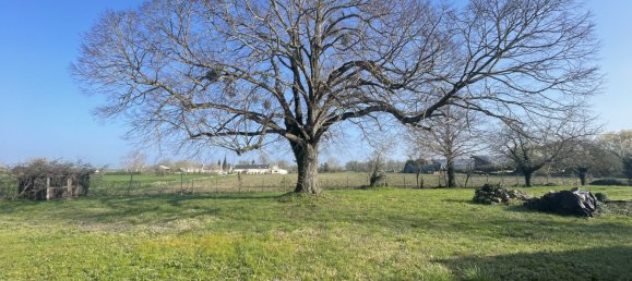 3 Schlafzimmer Haus in Chouze-sur-Loire, France, Nr. 50839 7