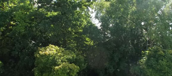 1 Schlafzimmer Wohnung in Unterallgäu, Germany, Nr. 226280 13