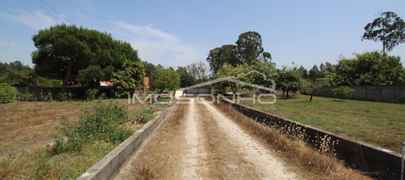 Villa de 9 dormitorios en Marinha Grande, Portugal No. 200147 27