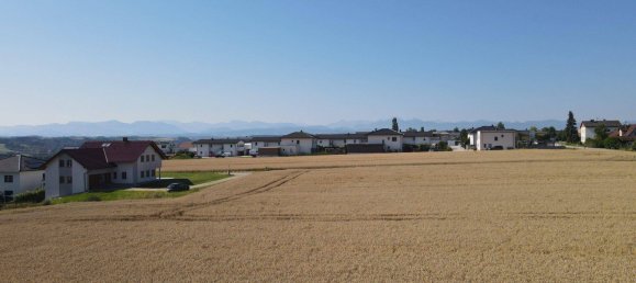 5-Zimmer Penthouse in Kematen an der Krems, Austria, Nr. 250166 5