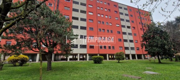 2 chambres Appartement à Settimo Milanese, Italy No. 181222 9