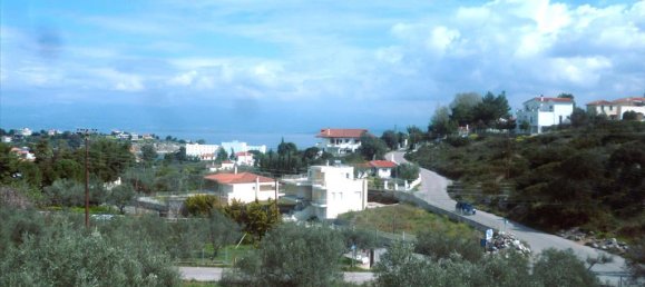 4 غرف نوم عقار تجاري في Chalcis, Greece رقم 7286 16