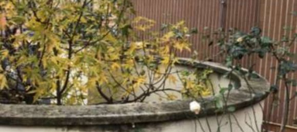 Квартира с 3 спальнями в Милан, Италия № 357915 32