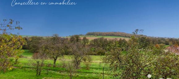 3 غرف نوم منزل في Neunkirchen-les-Bouzonville, France رقم 209879 14