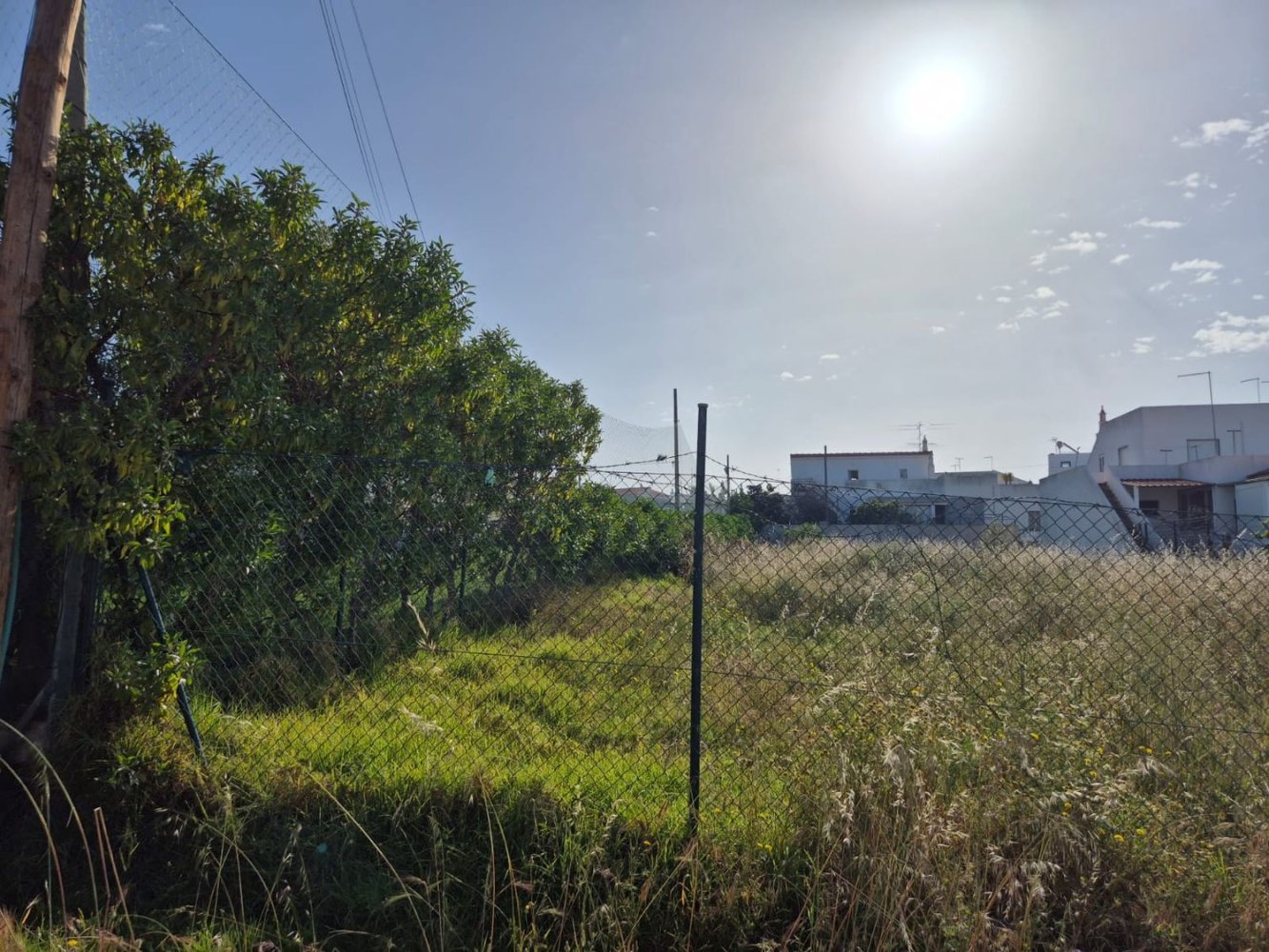 Terreno em Montenegro, Portugal N.º 206302