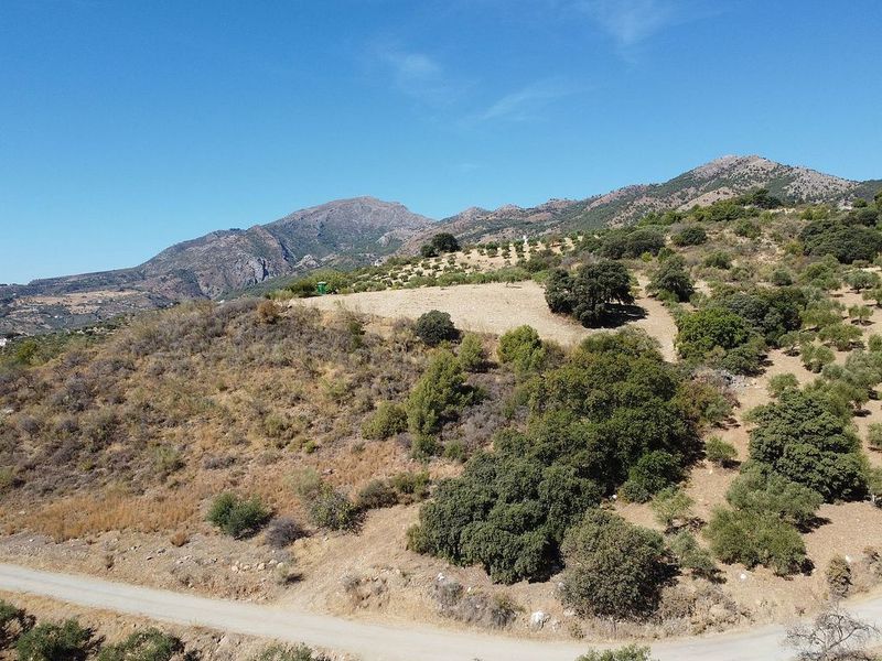 8972m² Land in Malaga, Spain No. 221483