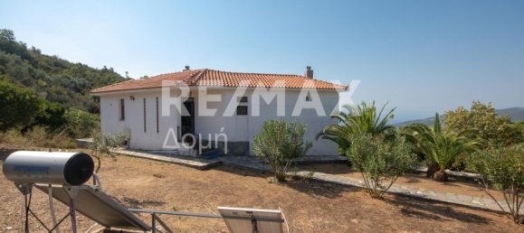 3 bedrooms Commercial property in Magnesia, Greece No. 278 3