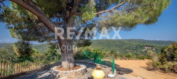 3 bedrooms Commercial property in Magnesia, Greece No. 278 24