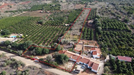 3 bedrooms House in Silves, Portugal No. 62339