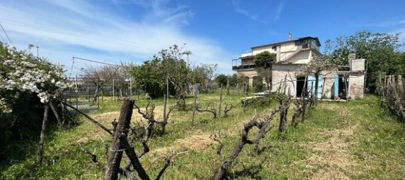 Terreno en Rome, Italy No. 78349 5