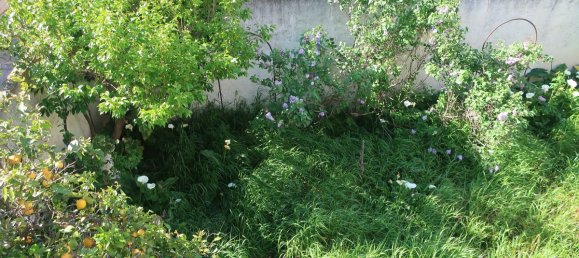 3 Schlafzimmer Haus in Pyrenees-Orientales, France, Nr. 338706 4