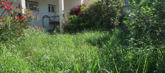 3 Schlafzimmer Haus in Pyrenees-Orientales, France, Nr. 338706 6