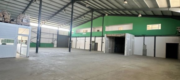 6 rooms Warehouse in Larnaka, Cyprus No. 26613 7