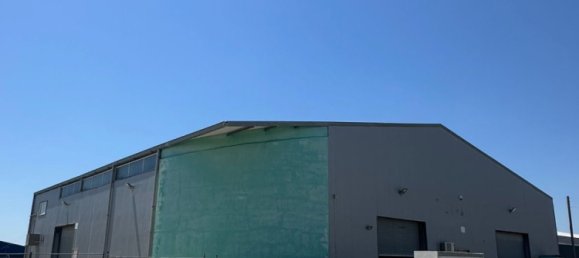 6 rooms Warehouse in Larnaka, Cyprus No. 26613 2