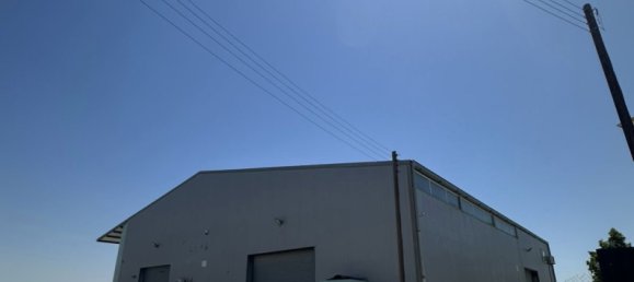 6 rooms Warehouse in Larnaka, Cyprus No. 26613 3