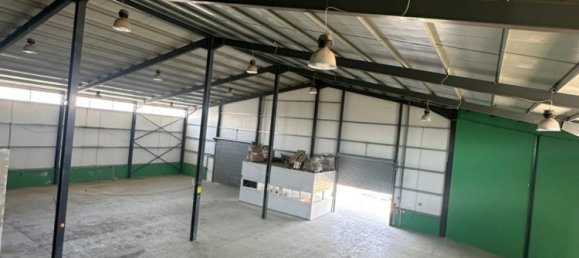 6 rooms Warehouse in Larnaka, Cyprus No. 26613 4