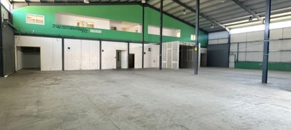6 rooms Warehouse in Larnaka, Cyprus No. 26613 6