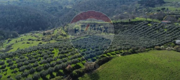 Земельный участок 167000м² в Морлупо, Италия № 54474 16