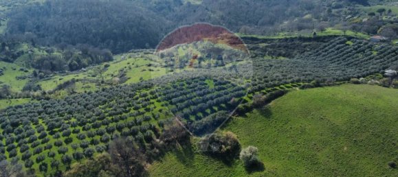 Земельный участок 167000м² в Морлупо, Италия № 54474 14