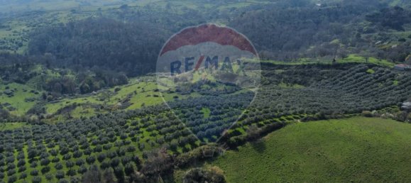 Земельный участок 167000м² в Морлупо, Италия № 54474 15